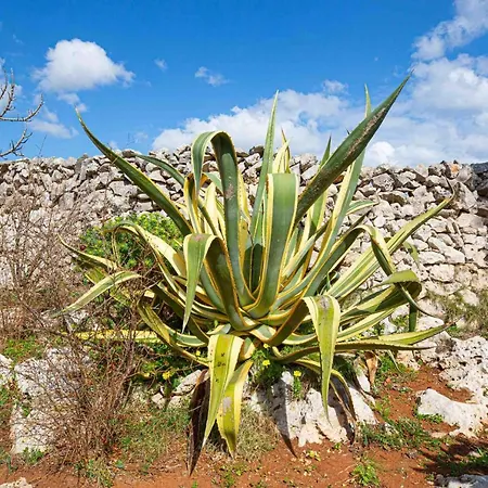 Trullo Wowhomes Leuca L2 Nyaraló Gagliano del Capo